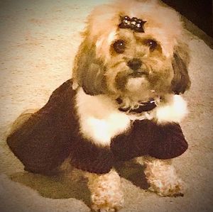 Meet your Posher, David